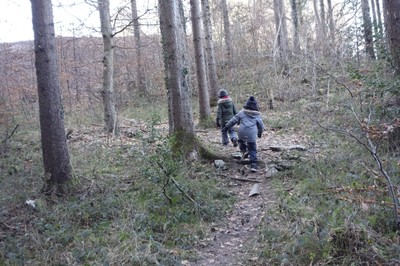Waldtag 2023 (3).JPG