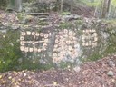 WALDWOCHE (102).JPG