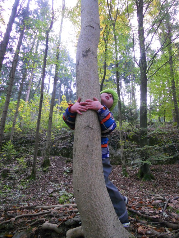 WALDWOCHE (204).JPG
