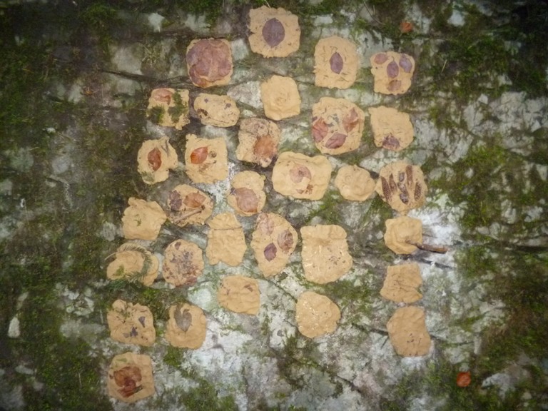 WALDWOCHE (24).JPG