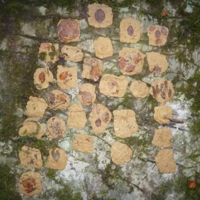 WALDWOCHE (24).JPG
