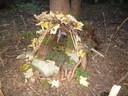 WALDWOCHE (28).JPG