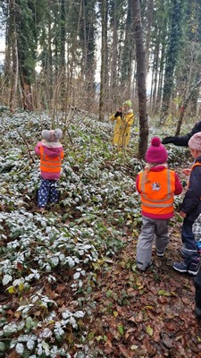 @Weihnachtswald (11).jpg