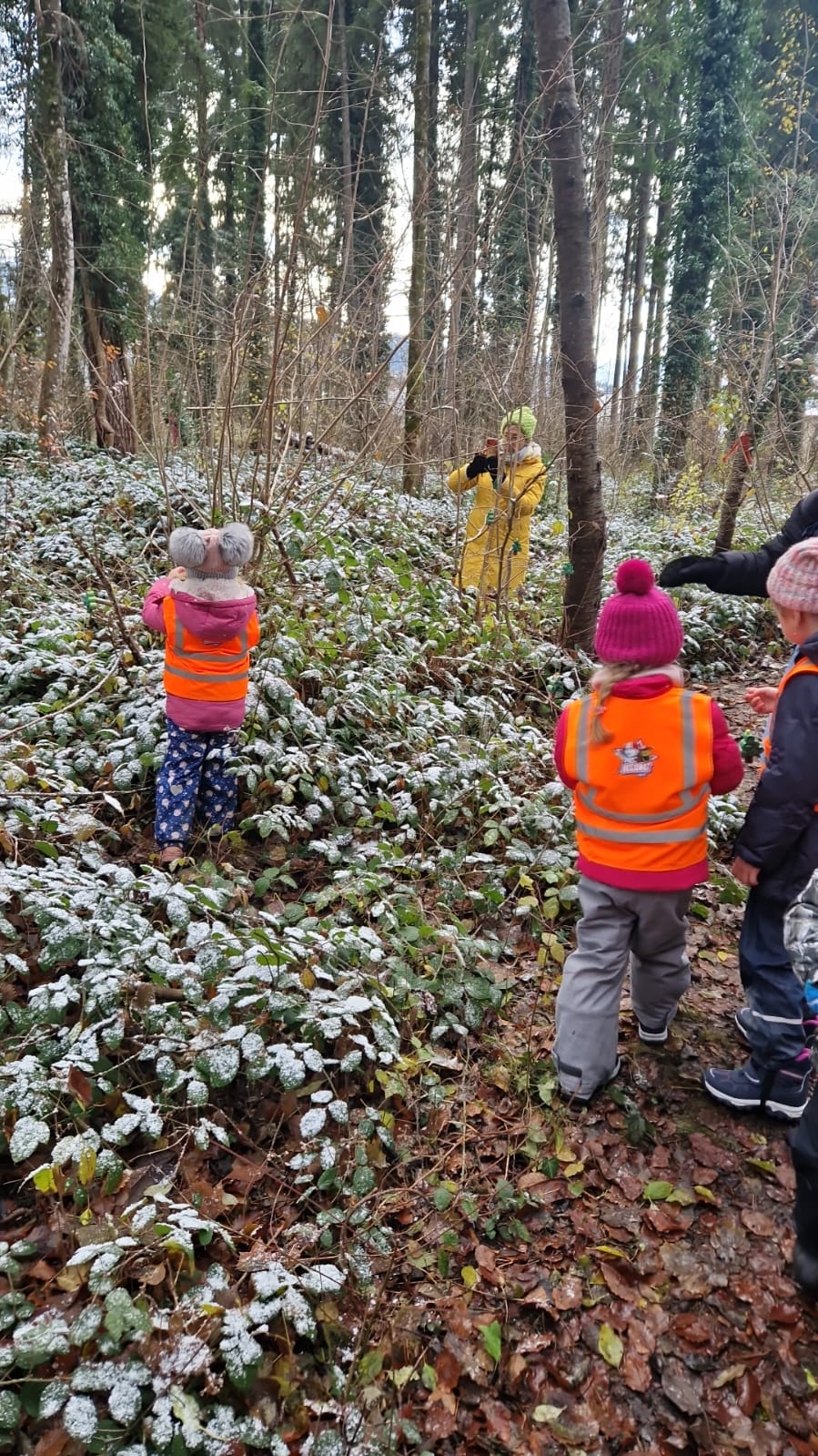 @Weihnachtswald (11).jpg