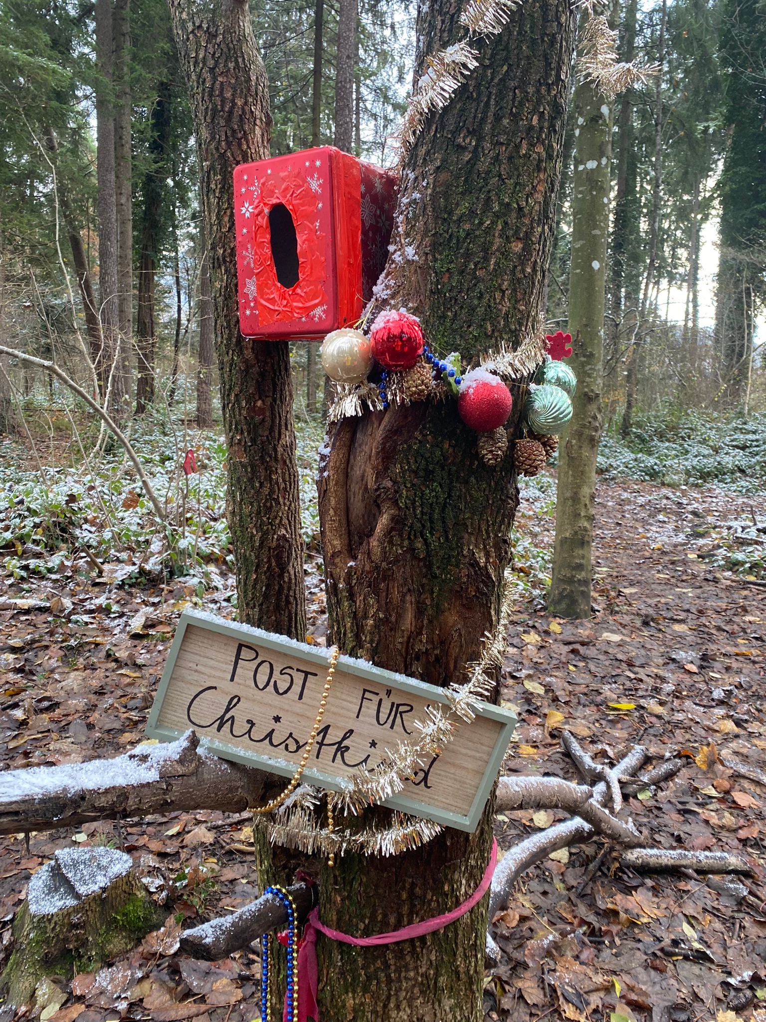@Weihnachtswald (14).jpg