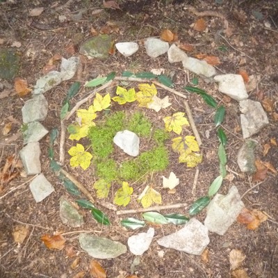 Hinaus in den Wald- wozu?