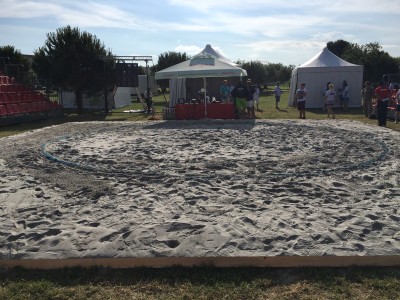 Beach Wrestling WM (30).JPG