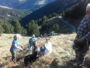 Freunde der Kugelalpe treffen sich zum Schwenden