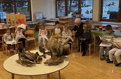 Tiere unseres Waldes