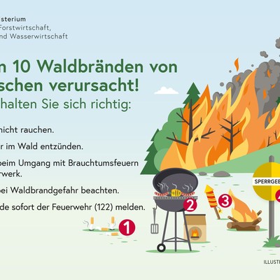 Vermeidung von Waldbränden