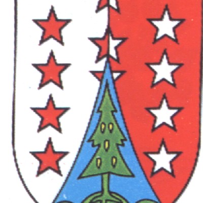 Gemeinde- und Bürgermeisterwahl