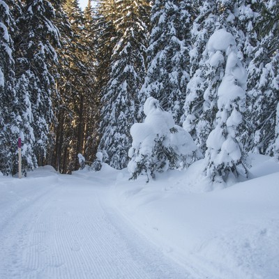 Winterwanderweg