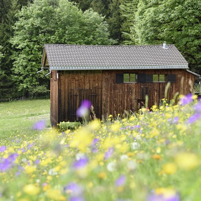 Ferienhütte Birihof