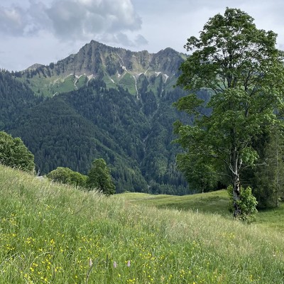 Haus Lisi