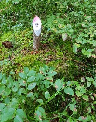 Ein kleiner Waldbewohner.JPG