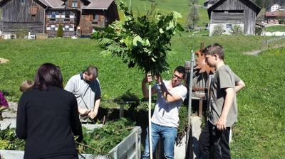 170408 Palmen binden (20a).jpg