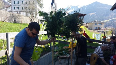 170408 Palmen binden (21a).jpg