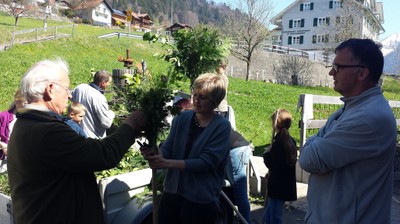 170408 Palmen binden (23a).jpg