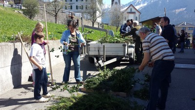 170408 Palmen binden (4a).jpg