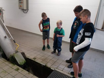 Sommerprogramm - ARA-Besichtigung