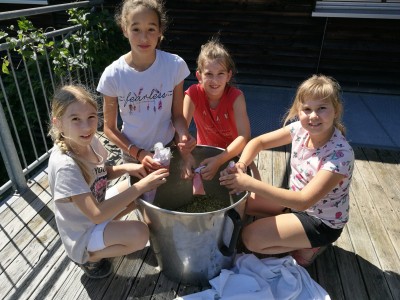 Sommerprogramm - Salben2.jpg
