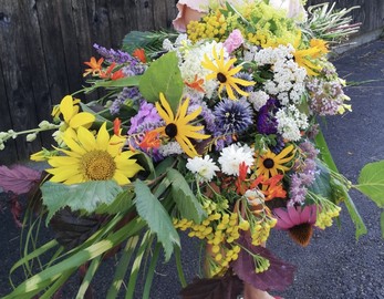 Blumen und Kräuter binden