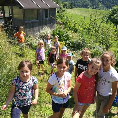 Sommerprogramm -     Von der Blumenwiese ins Salbentöpfchen