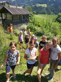 Sommerprogramm -     Von der Blumenwiese ins Salbentöpfchen