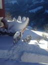 0 hand schnee.JPG
