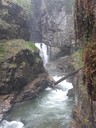 20200429_100808.jpg