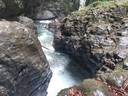 20200429_105248.jpg