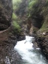 20200429_105829.jpg