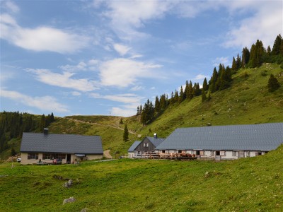 Alpe Gävis 2012