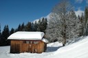 DSC_8359a.JPG