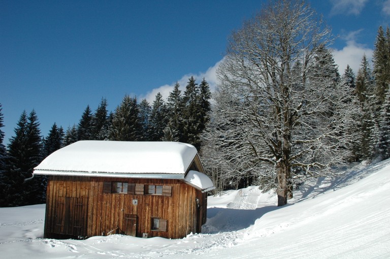 DSC_8359a.JPG