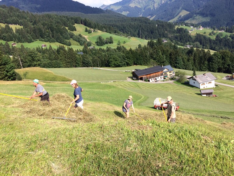 Nesensohn Sommerheuen.jpg