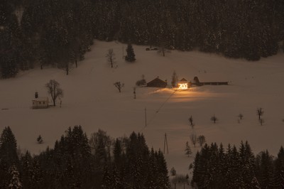 Alpe Wies 700Jahre