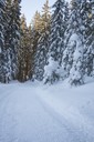 Winterwanderweg_RodelnLuisa_Winterbilder_Tropfen_Bäume_0010_1.jpg