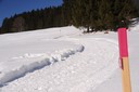 Winterwanderweg_RodelnLuisa_Winterbilder_Tropfen_Bäume_0081.JPG