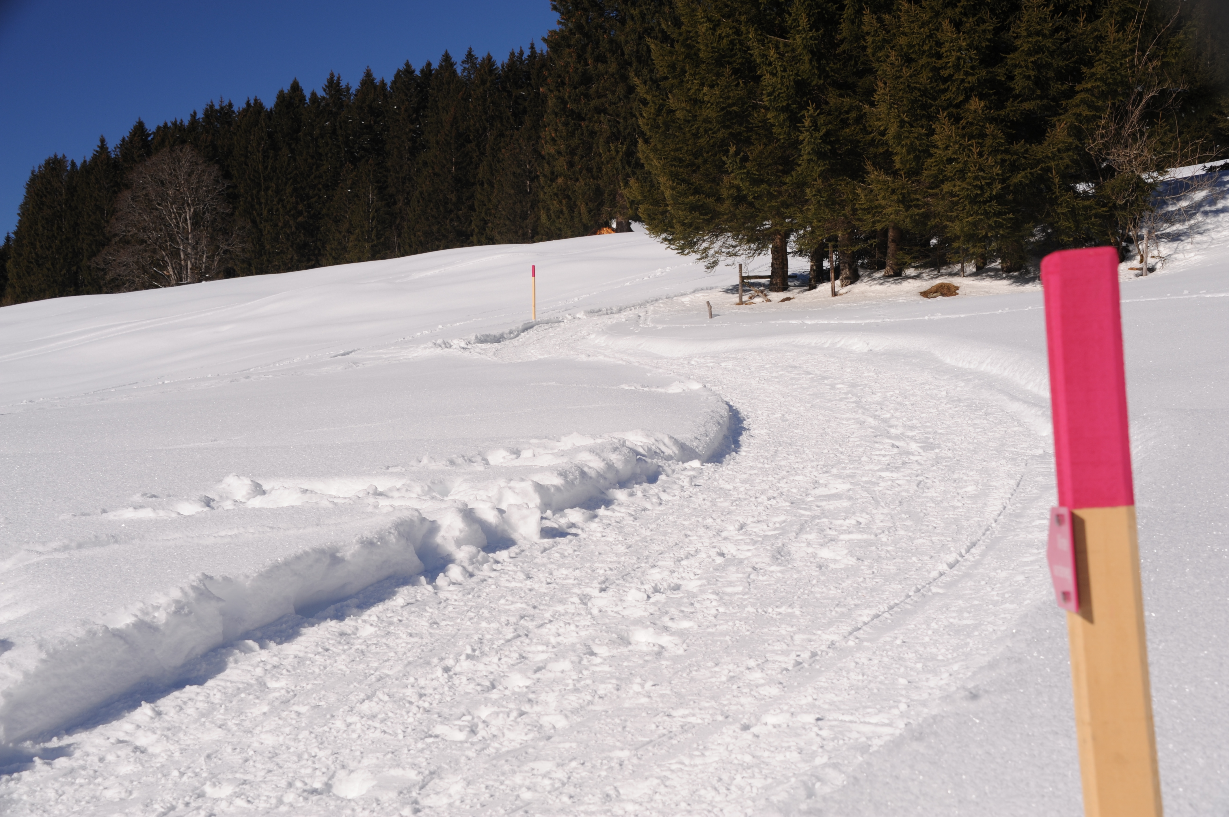 Winterwanderweg_RodelnLuisa_Winterbilder_Tropfen_Bäume_0081.JPG