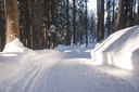Winterwanderweg_RodelnLuisa_Winterbilder_Tropfen_Bäume_0271_2.jpg