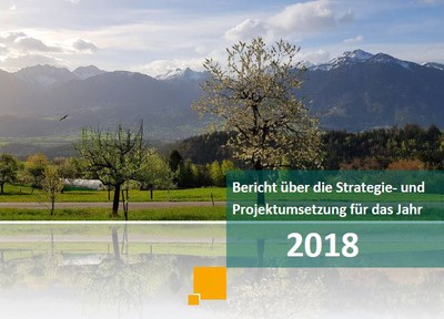 Jahresbericht 2018