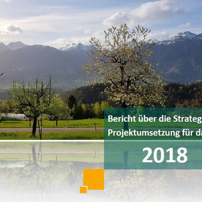 Jahresbericht 2018