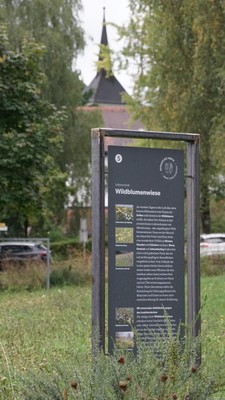 PROJEKT AKTUELL - Sebastianswiese Göfis PROJEKT AKTUELL - Sebastianswiese Göfis