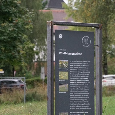 PROJEKT AKTUELL - Sebastianswiese Göfis