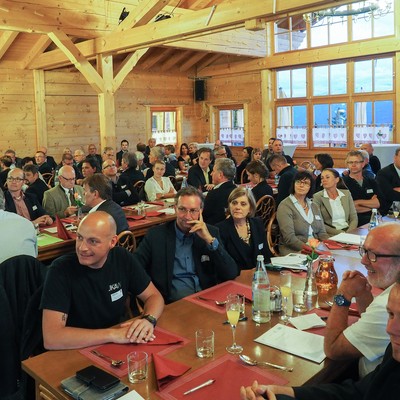 Verein und Organe