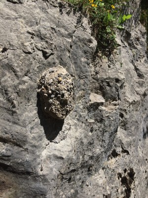 Eröffnung AAM Muttersberg (49).JPG