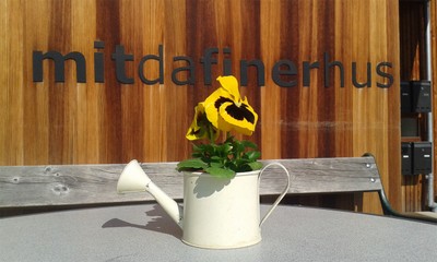 Mitdafinerhus-(1)-komp.jpg