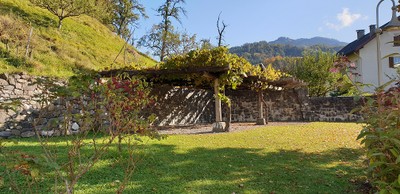 Fotos_Torkelbaum_Roethis_4.jpg