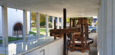 Fotos_Torkelbaum_Roethis_6.jpg